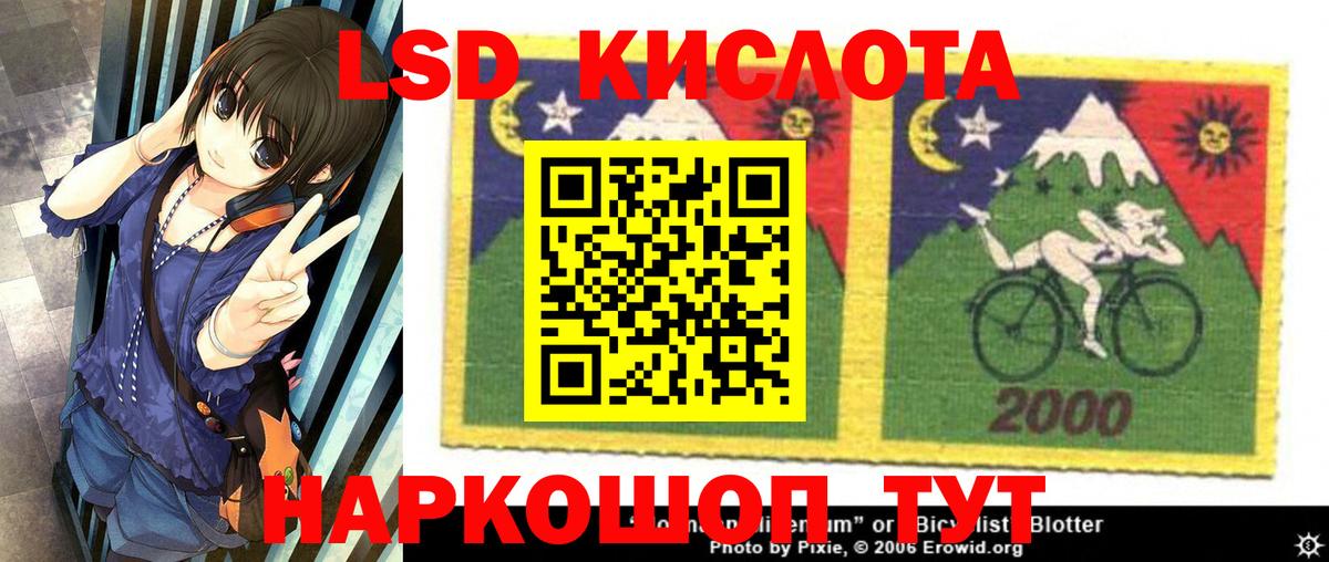Бошки Шишки Северск
