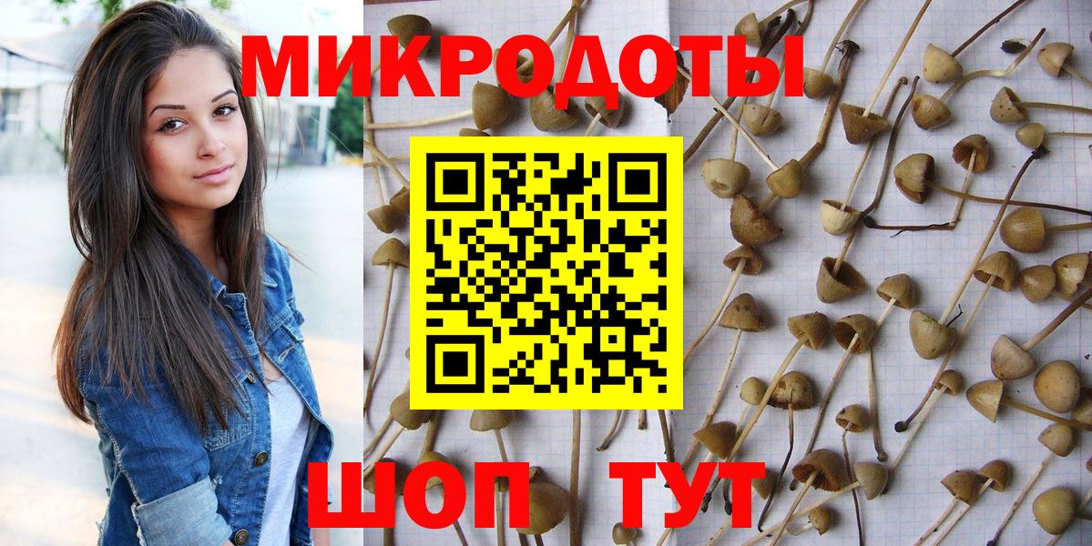 Северск  Галлюциногенные грибы прущие грибы  Вход с VPN 